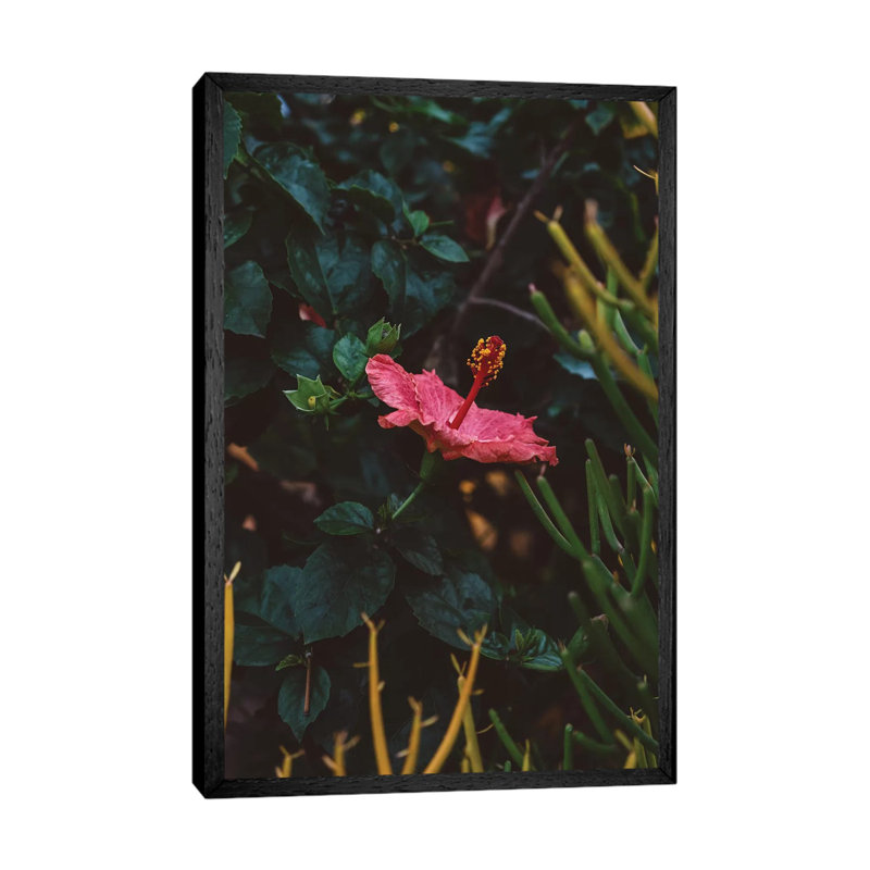 California Bloom by Bethany Young - Print on Canvas, 66.04cm H x 45.72cm W x 3.81cm D, Black Framed
