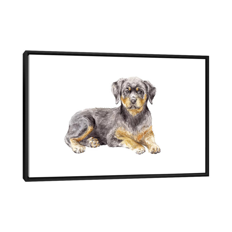 «Rottweiler Puppy», reproduction sur toile, H 18 po x l 26 po x P 1,5 po, Toile avec cadre noir, Pas de tapis