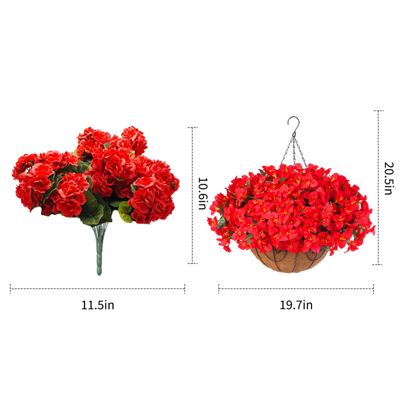 52cm Plant