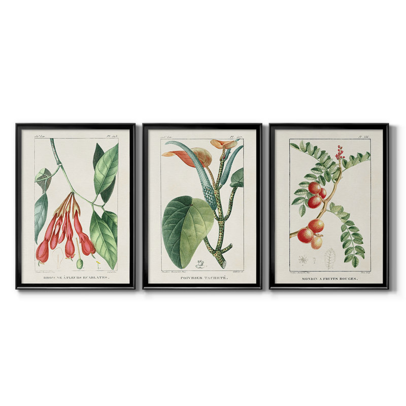 Turpin Tropical Botanicals I - Toile tendue avec châssis sur mesure - 3 pièces, H 27 po x l 39 po, Noir