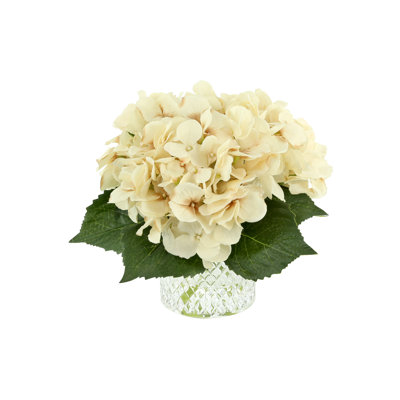 Hortensias dans un vase