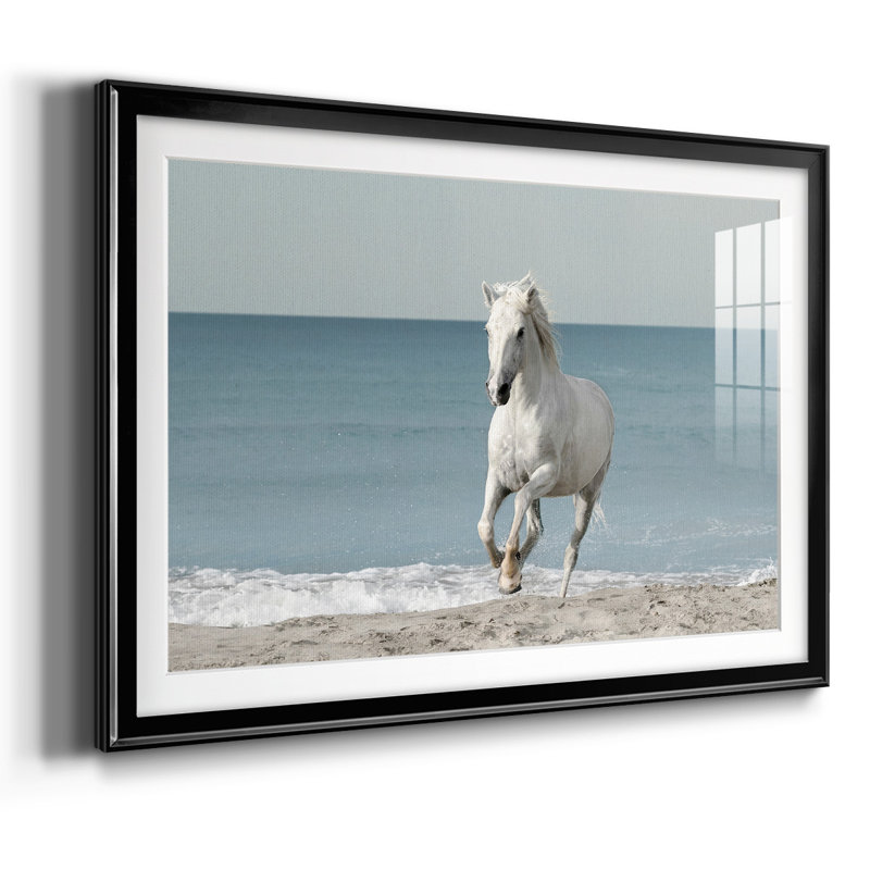 Camargue Beach Horse encadré sur papier, Noir, H 19 po x l 27 po x P 1,5 po
