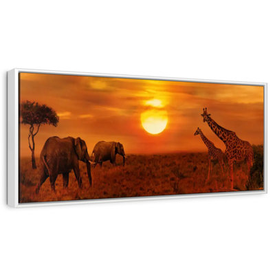 African Safari Pyle Sunset
