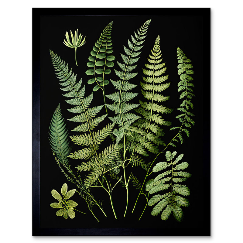 Single Picture Frame Print