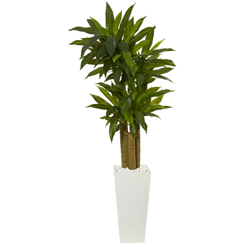 60'' Faux Dracaena Plant in Ceramic Planter