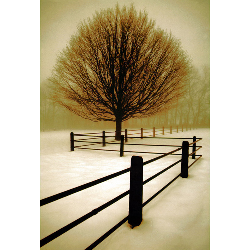 Solitude