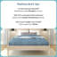 Lit plateforme Coleman-127885696-127885699