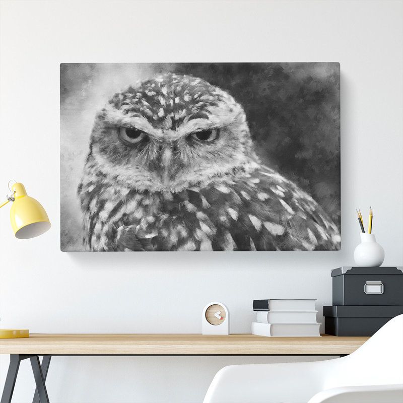 Little Owl - Wrapped Canvas Print, 35cm H x 50cm W x 3cm D