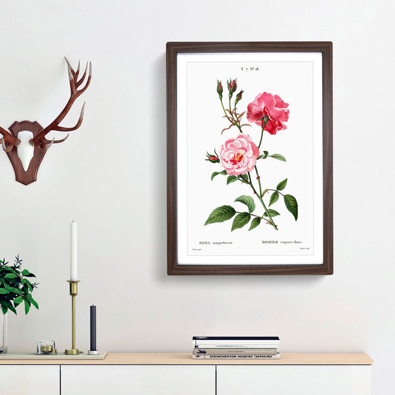 Ever-blowing Pink Roses by Pierre-Joseph Redoute - Picture Frame Painting Print, Walnut Framed, 36cm H x 27cm W x 2cm D