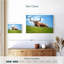 Bramhorn de Brampt sur l'herbe, Texas-108880345