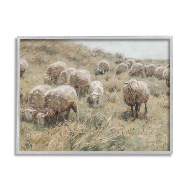 Gray Framed Rural Sheep Grazing Landscape Canvas Print