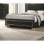 Lit pour grand lit 1pc avec garniture de mobilier de chambre à DEL et pieds en métal