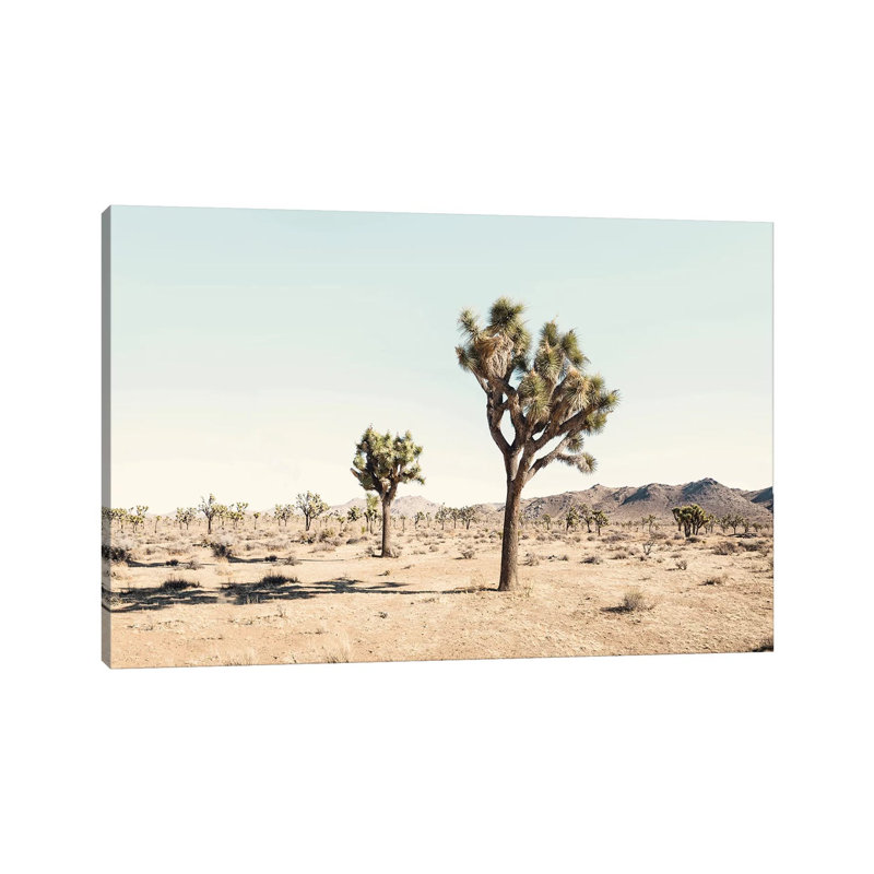 Joshua Tree Desert by Sisi & Seb - Print on Canvas, 20.32 cm H x 30.48 cm W, Wrapped Canvas