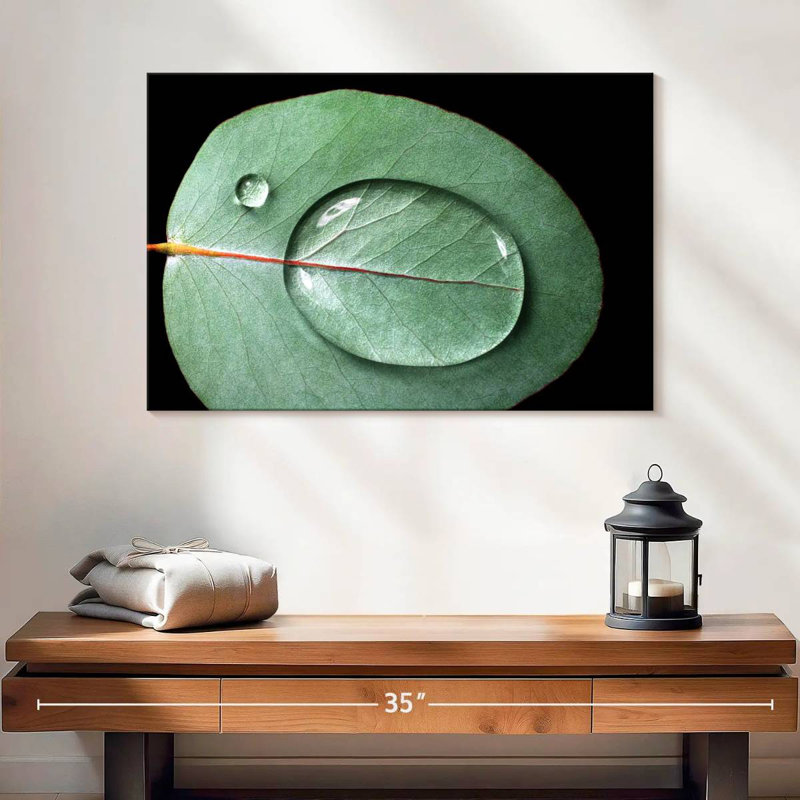 Gouttelettes d'eau Harnek sur feuille d'eucalyptus, H 24 po x l 36 po