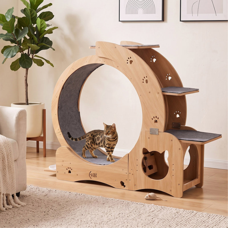 27.5" Cat Exercise Wheel for Indoor Cats, Quiet Cat Running Treadmill with Bowls, Multi-Level Perches & Cat Cave, Cat Exerciser for Weight Loss & Daily Activity