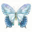Aflutter I-87398896-98677369-98677377