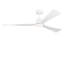Trillium Smart 60 LED Ceiling Fan-618144947-618144948