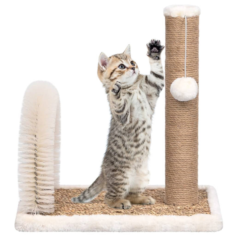 Needham Scratching Post