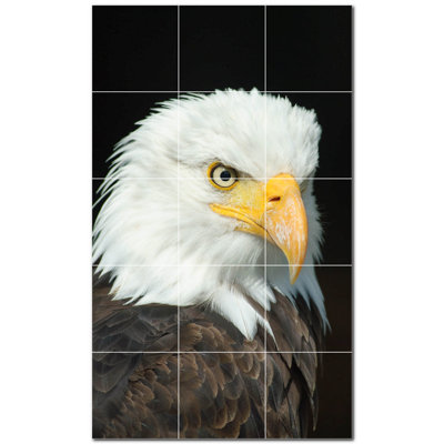 Murale en céramique satinée Bird Photo 4,25 po x 4,25 po