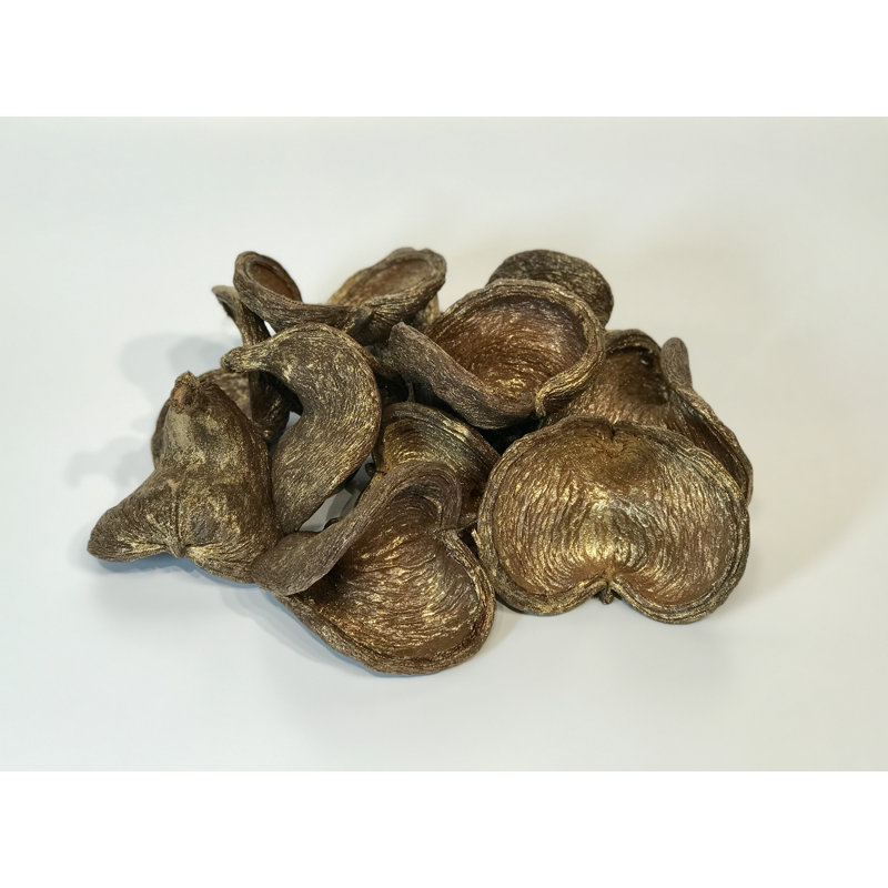 Agros Landscape & Nature Vase Filler, Gold Brushed