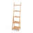 Leavie Ladder Bookcase
