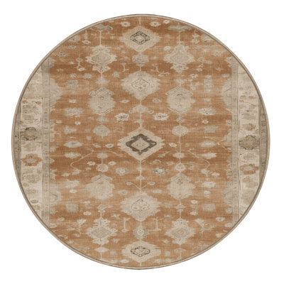 Machine Washable Overdyed Brown Area Rug