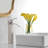 Single-handle Bathroom Faucet with Drain Assembly-72521010