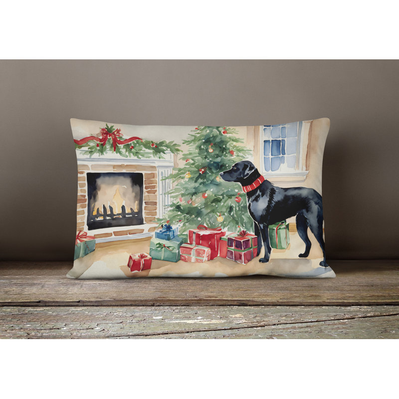 Other/No Pattern Outdoor Throw Pillow