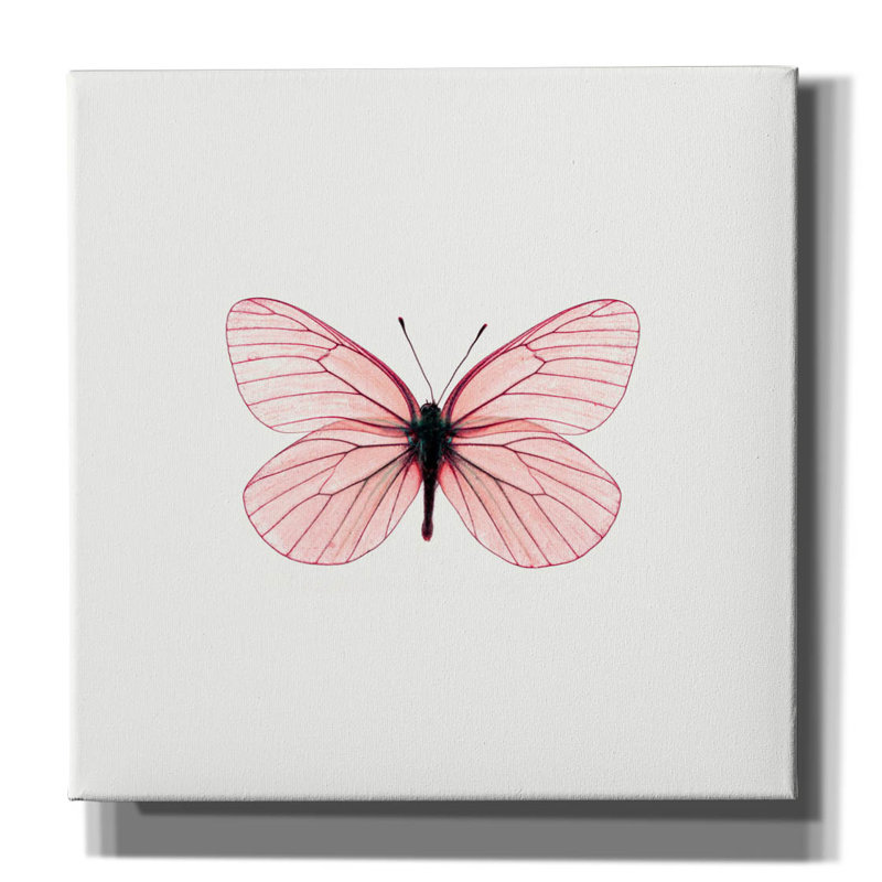 «Papillon rose» par PhotoINC Studio, H 26 po x l 26 po x P 1,5 po
