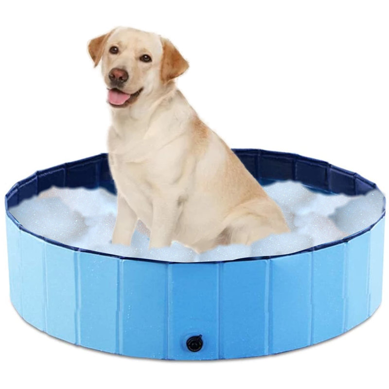 Sherri Plastic Foldable Dog Pool, 30cm H x 120cm W x 120cm D