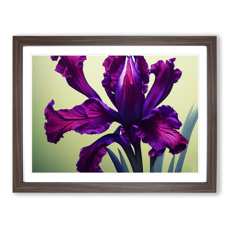Classic Iris Flowers - Framed Print, 46cm H x 64cm W x 2cm D, Walnut