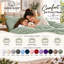 600 TC Sheet Set 100% Cotton Sheet Set-139185922-139185935