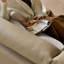 Coussin modulaire 116,14 po en similicuir-109554498