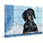 «I Just Had a Bath», reproduction d'art sur toile tendue-666297091