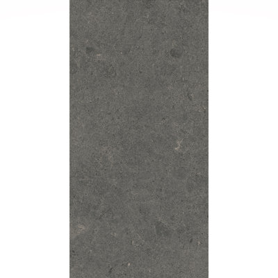 Artistic Freedom 12"X24" Porcelain Stone Look