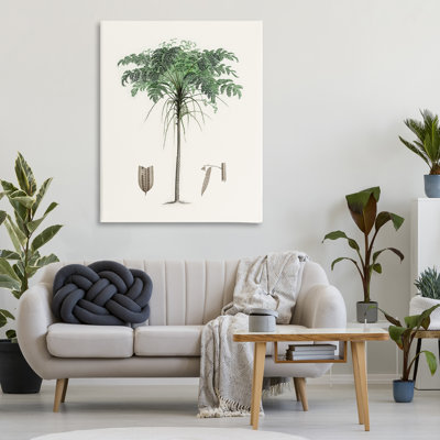 Toile vintage avec étude de palmiers, conception par CAD