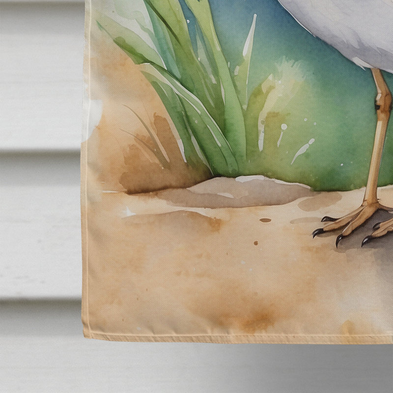  Drapeau de la maison d'oiseaux, Bécasseau chamois