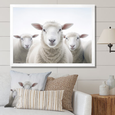 " White Minimalist Whie Sheeps "