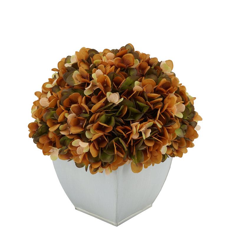 Arrangements floraux d'hortensias en pot, Café