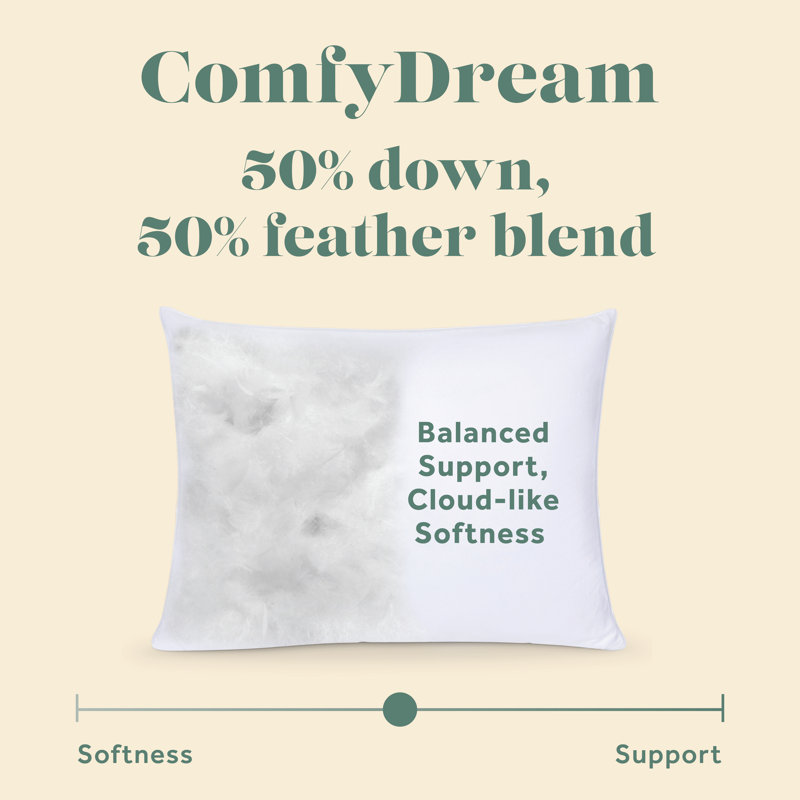 Oreiller en duvet Comfydream Comfydown 50/50 Comfydown, housse 100% coton de qualité égyptienne, grand (20 po x 30 po)