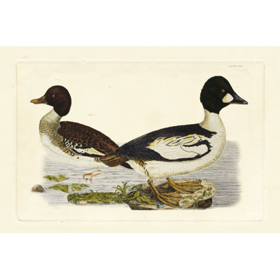 Selby Duck I - Wrapped Canvas Painting