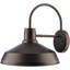 Trachoni Iron Plug-in Barn Light