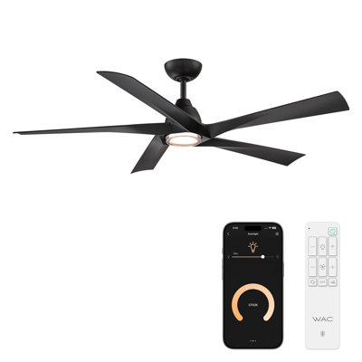 Zeke 5-Blade Outdoor/Indoor Smart Ceiling Fan with 2700K-3000K-3500K-4000K-5000K Color Temperature LED Light Kit and Remote Control Included, Works With Google Assistant, Amazon Alexa, Samsung Smart Things