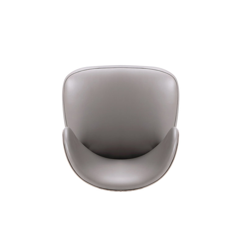 Strine Velvet And Leatherette Side Chair Dining Chair, 2