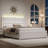 Modern Faux Leather Bed Frame with Upholstered Headboard and LED Lights-1097430510-1097430513
