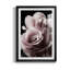 Rose noire II - Photographie sur toile avec cadre photo-436043793-436043792