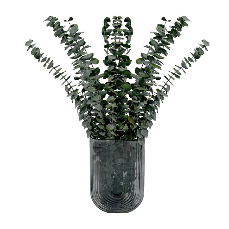 Ensemble de 4 bouquets d'eucalyptus séchés, Vert