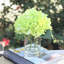 Arrangement de hortensia en vase-1487296948