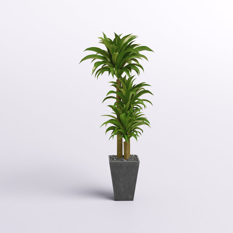 Plante artificielle 50,25 po Dracaena en pot