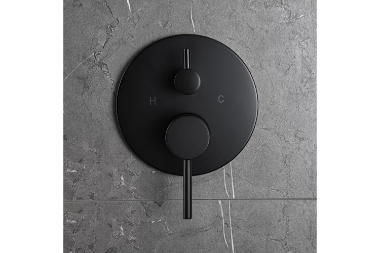 Modern shower handle